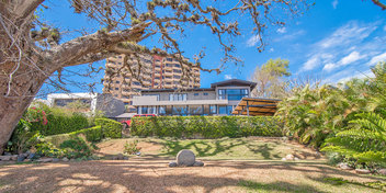 The Treehouse @ La Paco