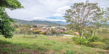 The Tree Lot in El Gregal