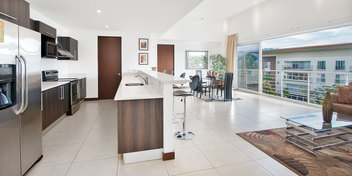 Treetop Apartment in Distrito 4