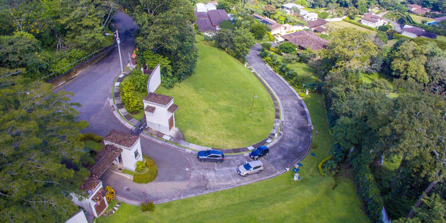 Corteza Amarilla 3