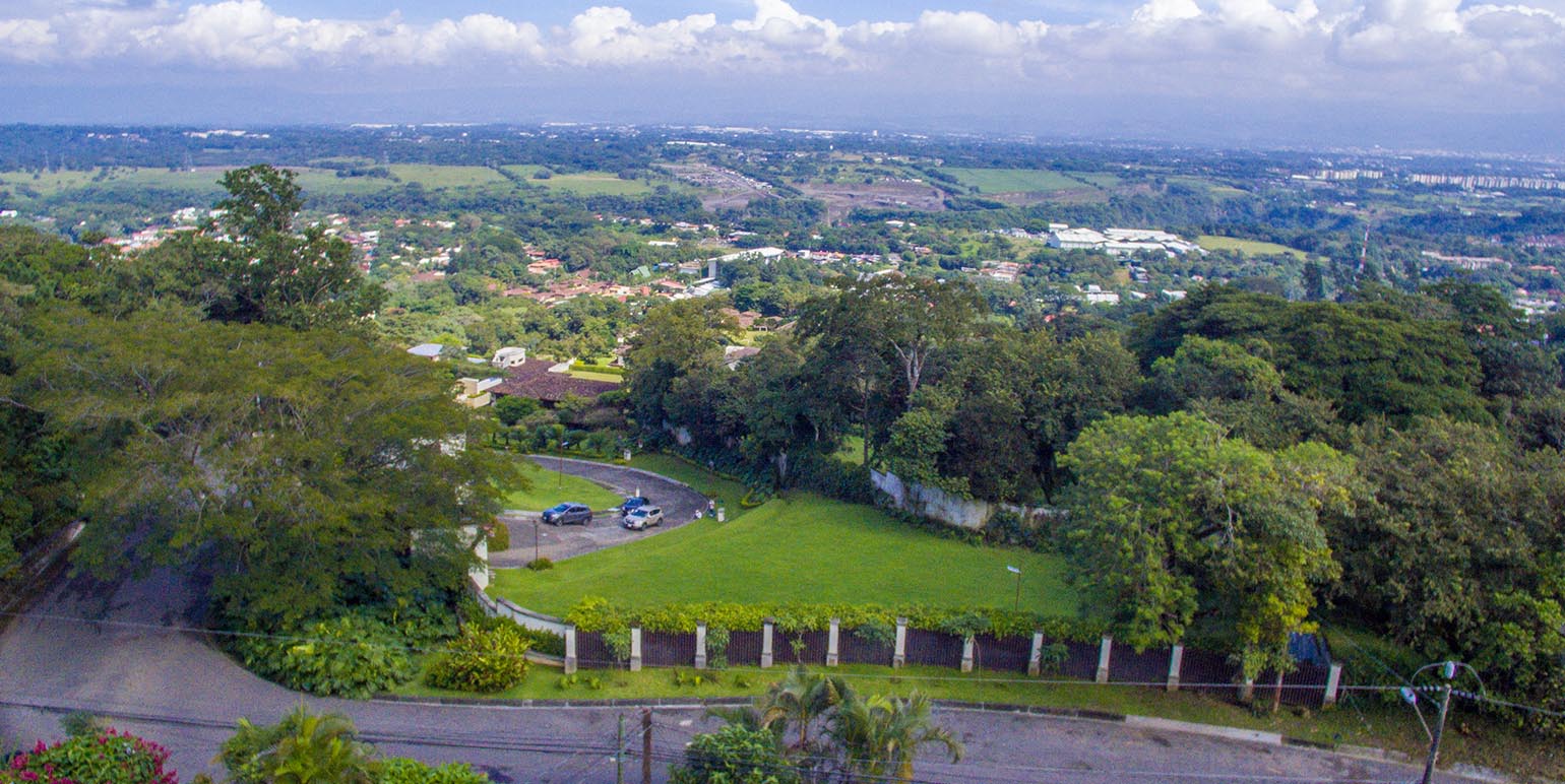 Corteza Amarilla 2