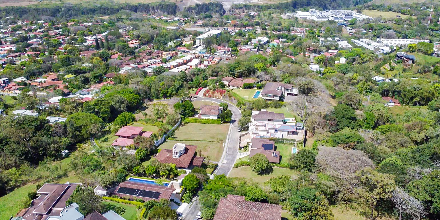 Corteza Amarilla