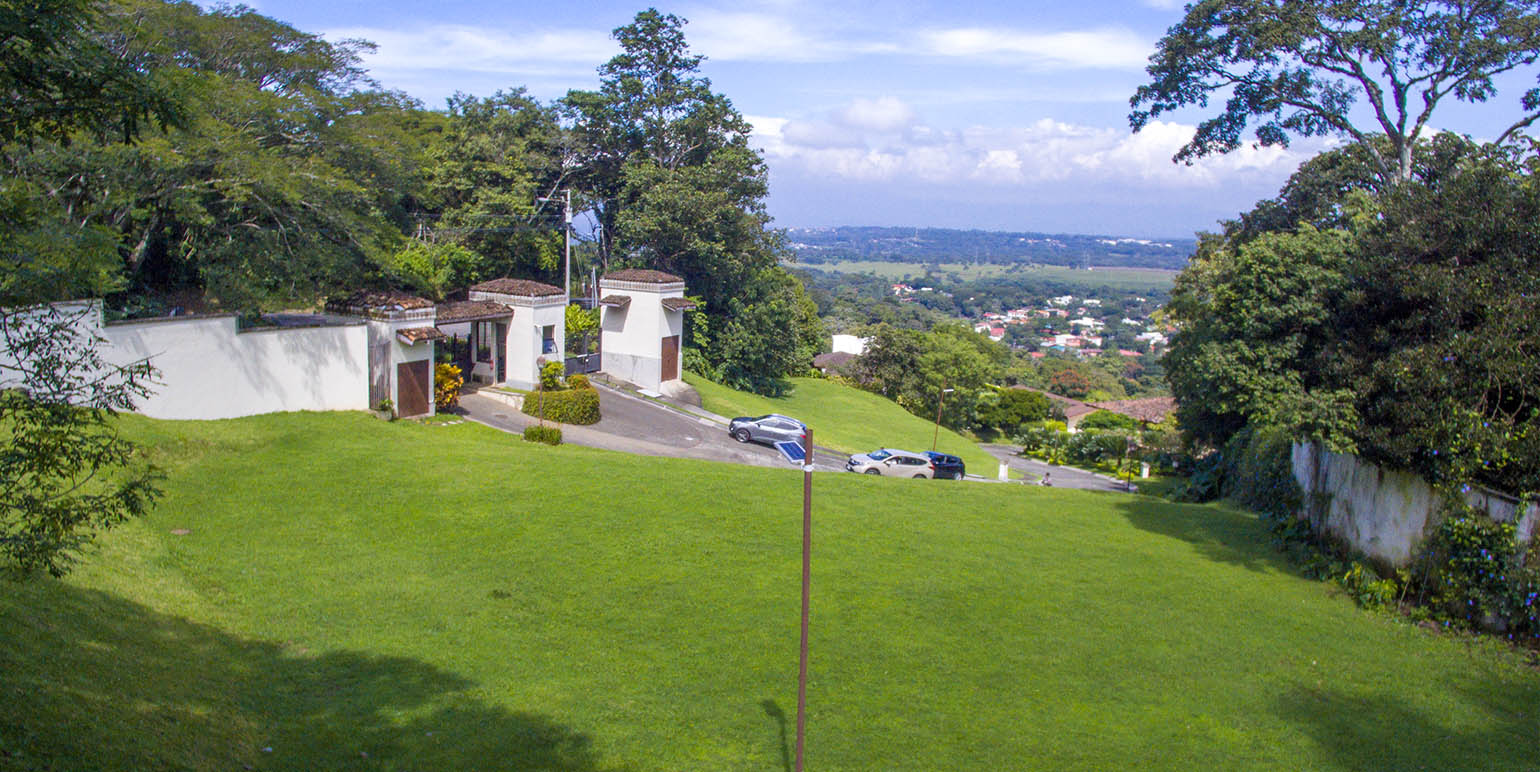 Corteza Amarilla 5