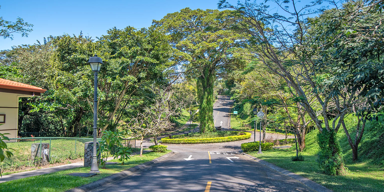 Hacienda Los Bambues