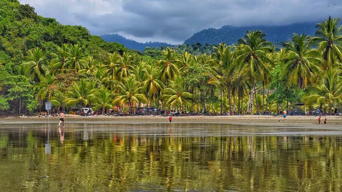 Uvita