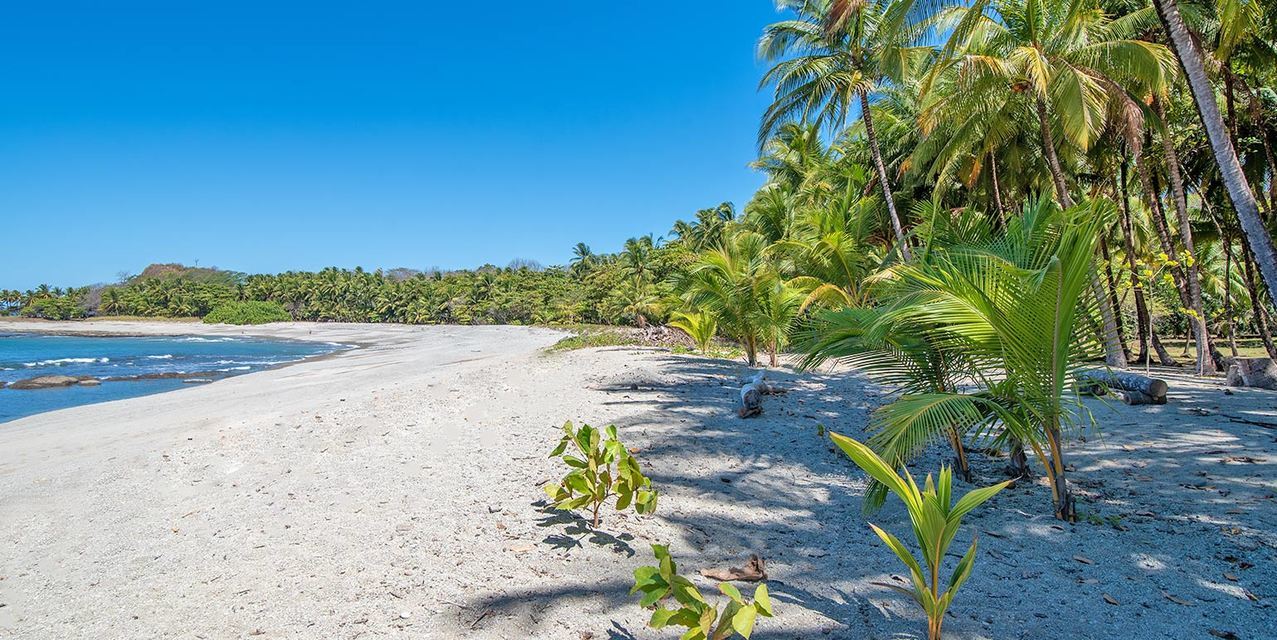 Malpaís Beachfront Lot with Quiet Bay — photo