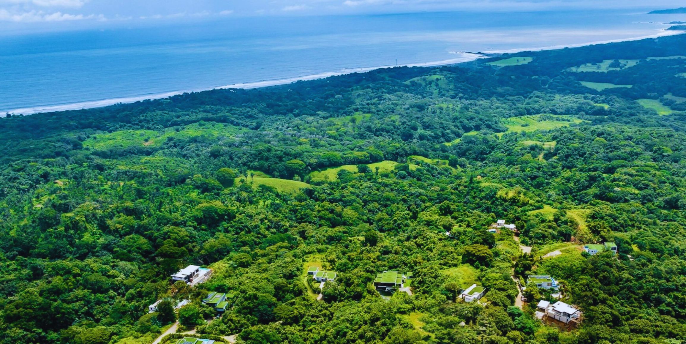 Black Beauty Guanacaste
