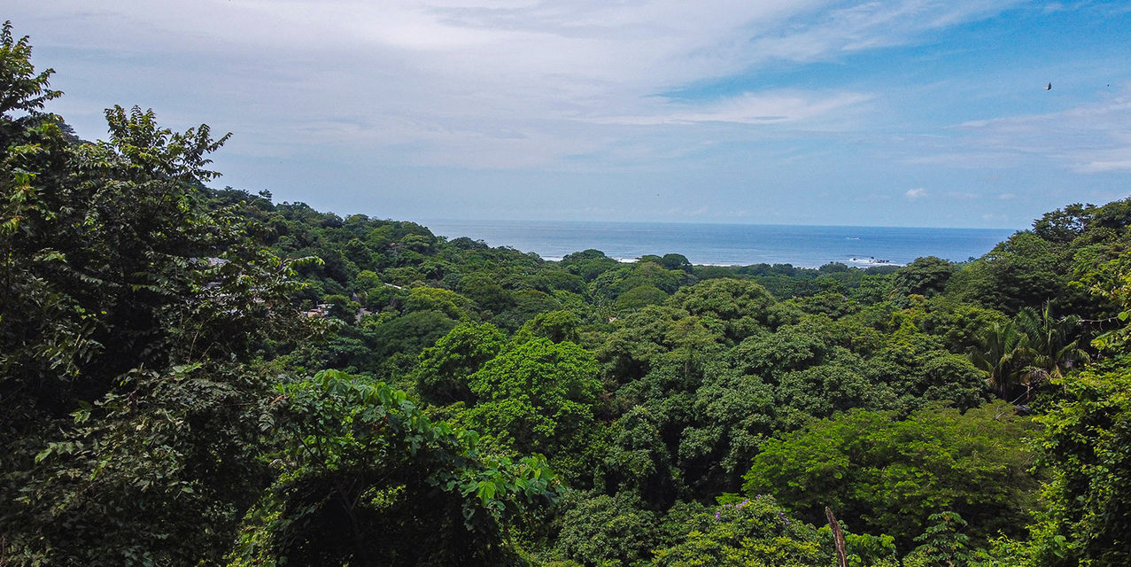 Section D Nosara Oceanview Land — photo