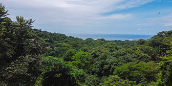Section D Nosara Oceanview Land