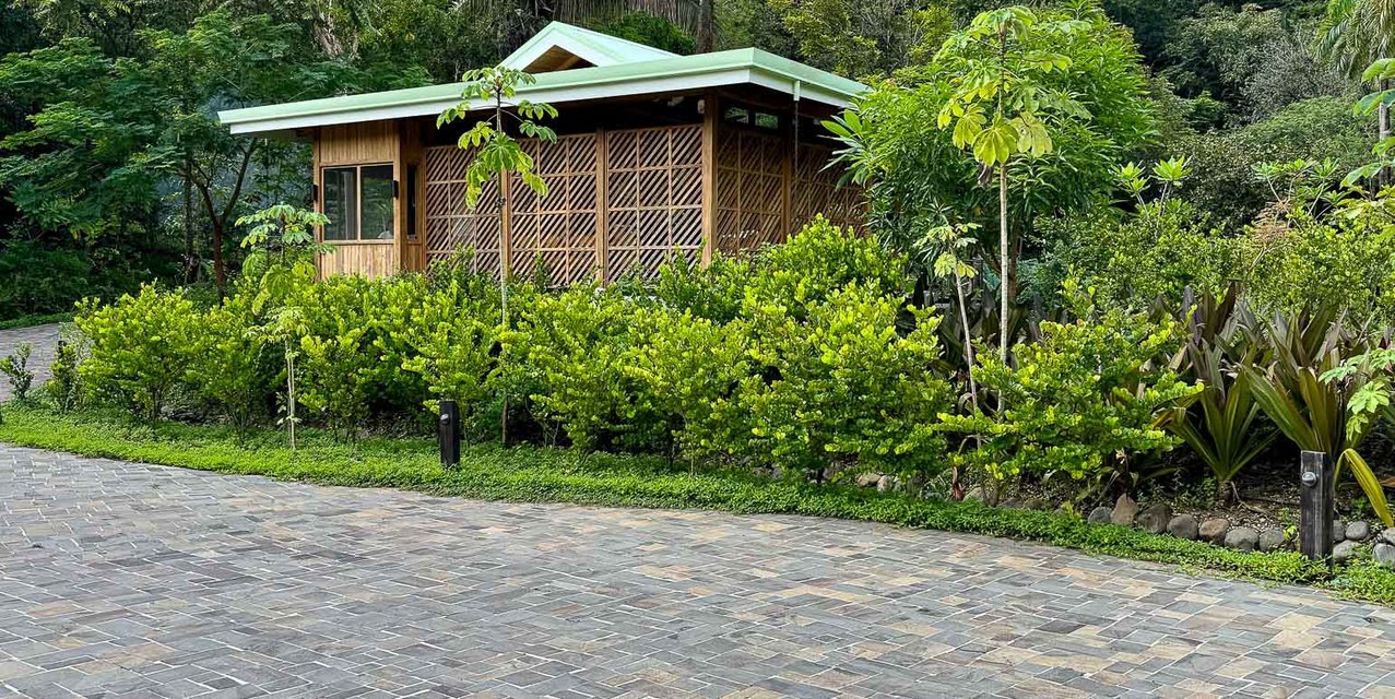 El Bosque Lotes en Nosara — photo