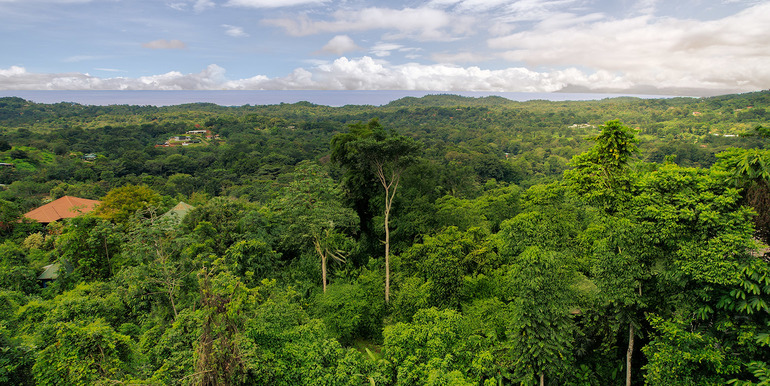 Ojochal