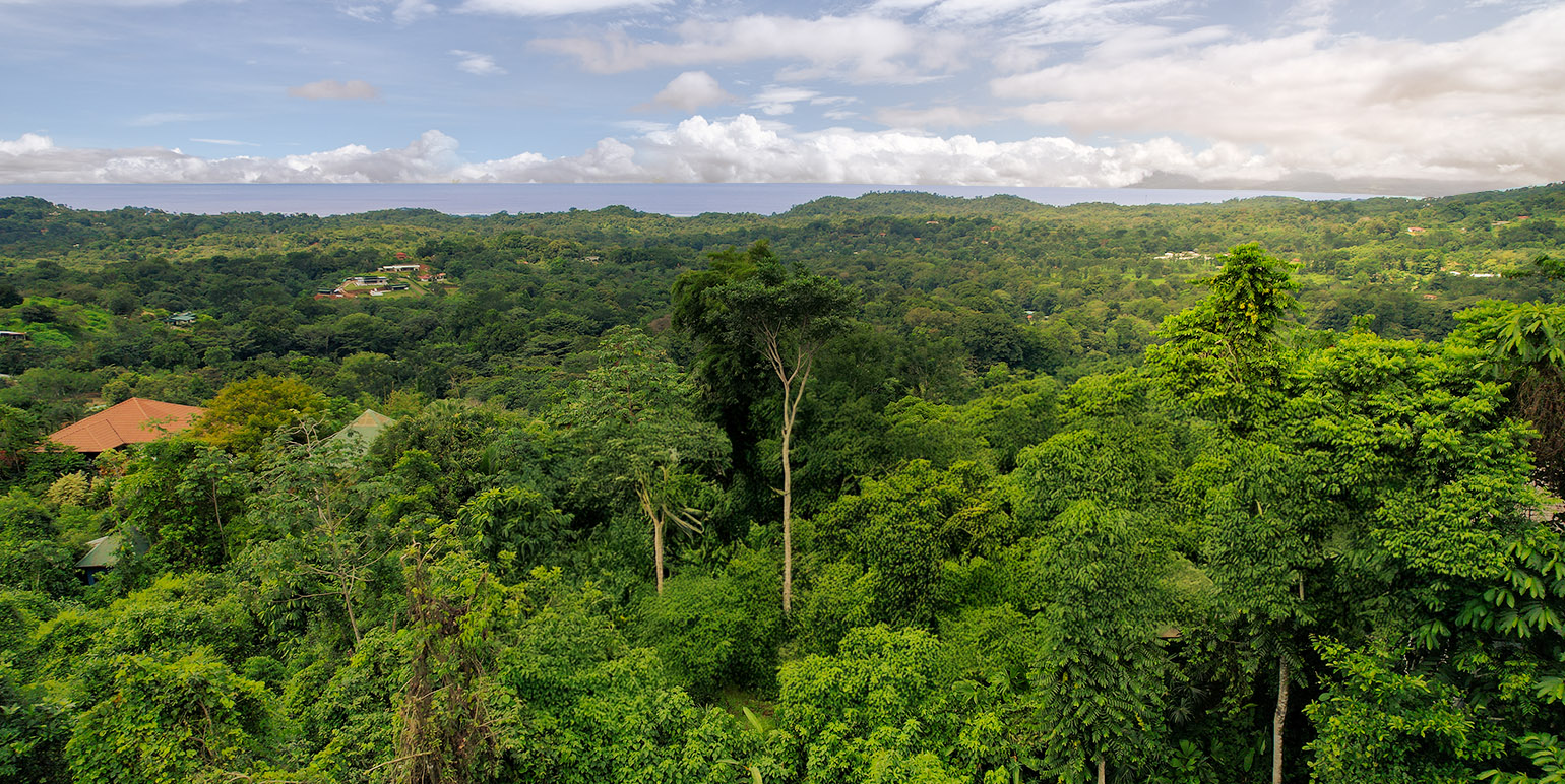 Ojochal