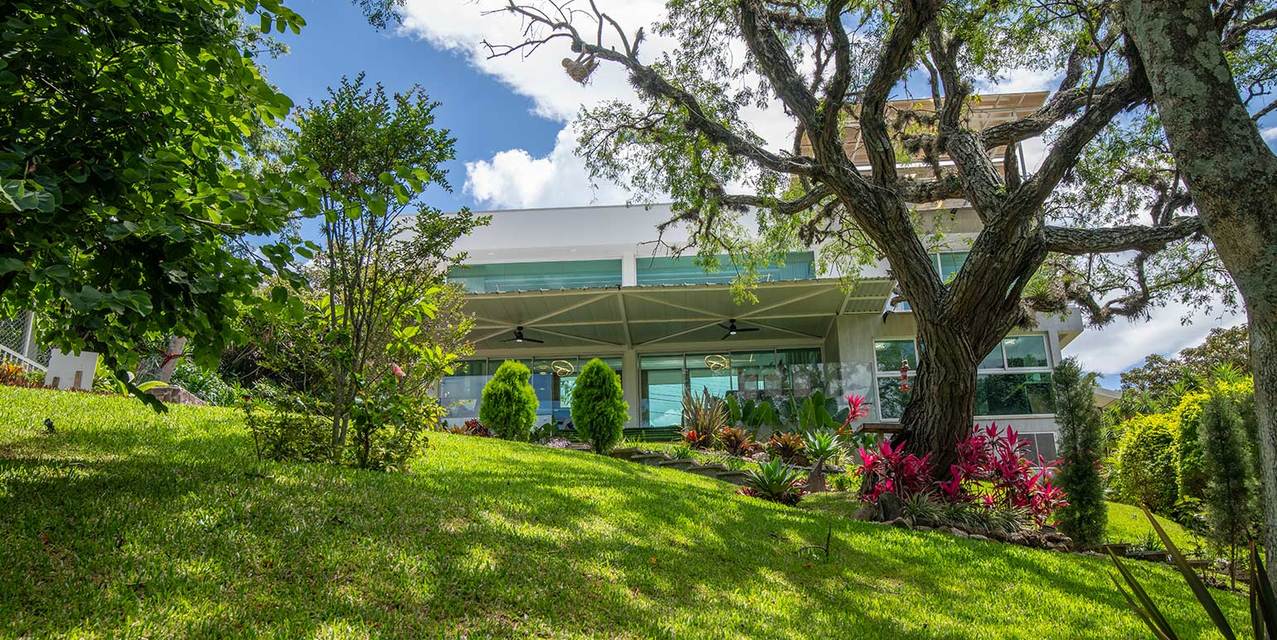 Villa Lumina @ Los Laureles — photo