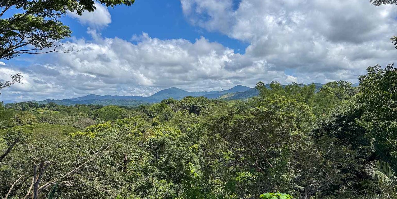 Jungle and Mountain Views Lots in Betel - Manzanillo — photo