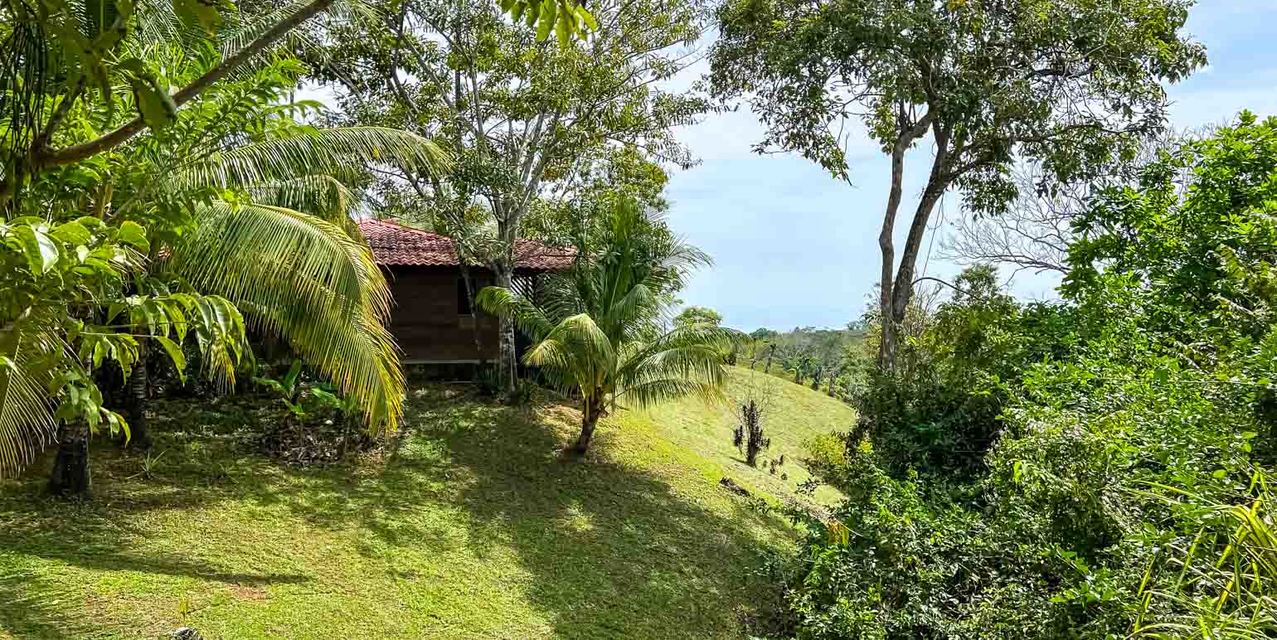 Ocean View Hidden Gem — photo