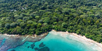 Playa Chiquita Shores Lush
