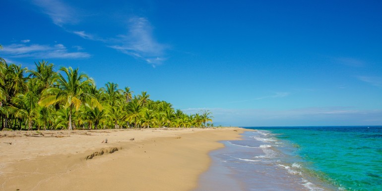 Caribe