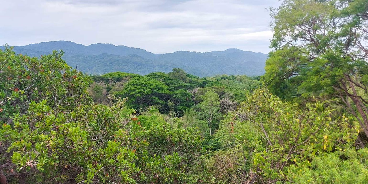 La Estancia del Pacífico at Tárcoles — photo