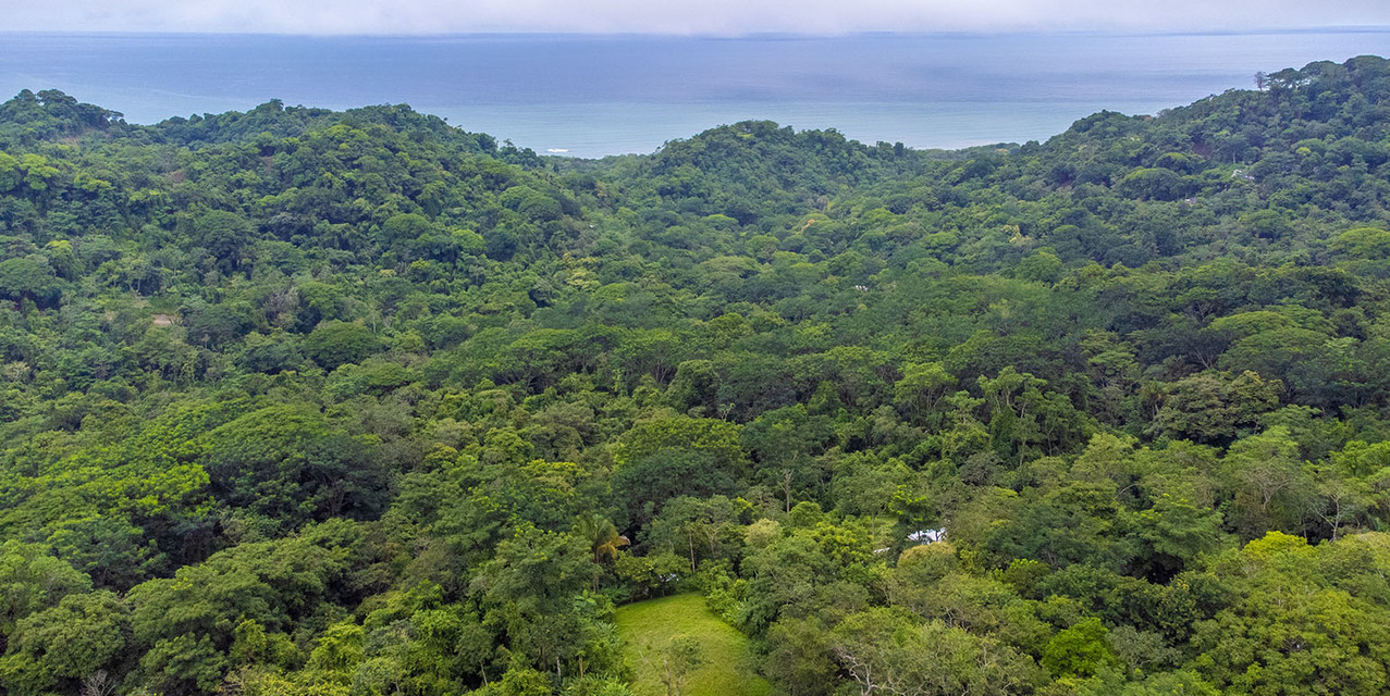 Ocean Peak Lot at Playa Carmen, Santa Teresa — photo