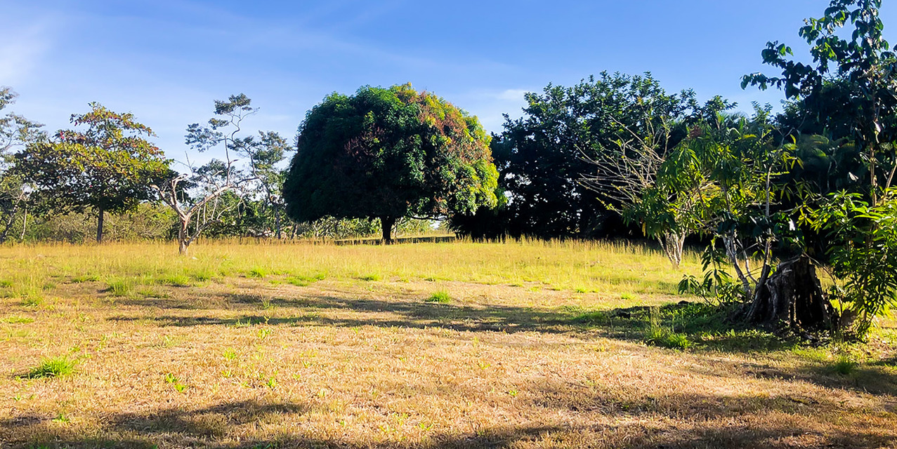 Private Lot at Las Delicias in Montezuma — photo