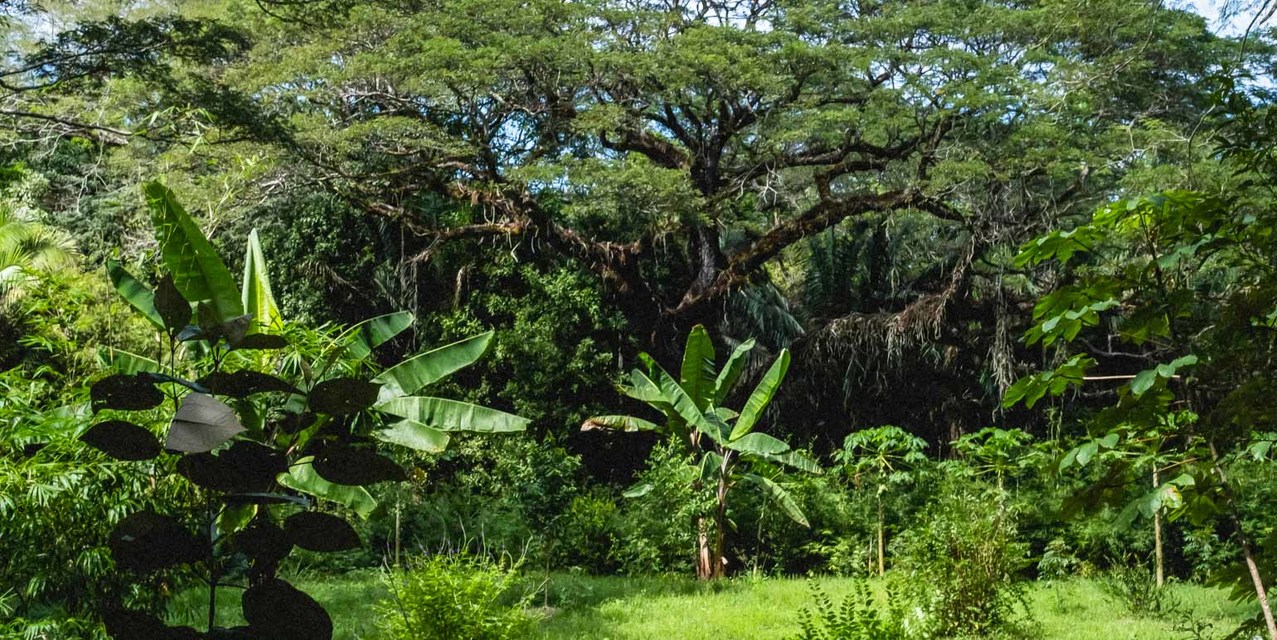 Private Lots in Gated Community near Playa Hermosa — photo