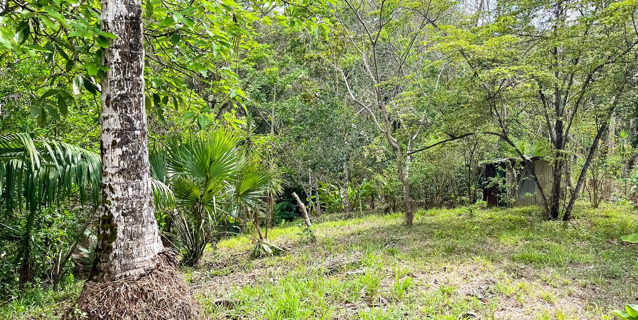 Lote en la Colina en Manzanillo — photo
