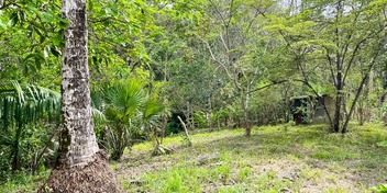 Lot in the Hills at Manzanillo