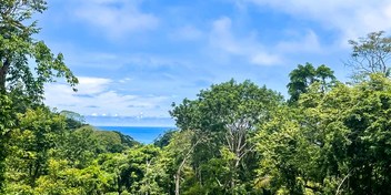 Lot Surrounded by Nature at Santa Teresa