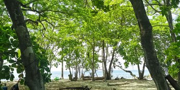 Beachfront Concession Land at Cabuya