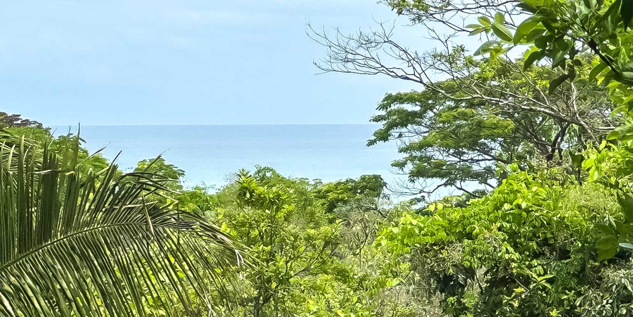 Large Ocean View Lot at Santiago, Santa Teresa — photo