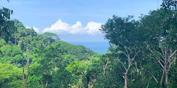 Ocean View Land Near Playa Carmen