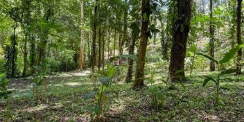 Perfect Oasis Lot at Santa Teresa