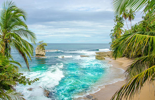 Manzanillo, Limón