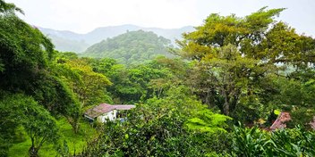 Finca Verde in Orosi, Cartago
