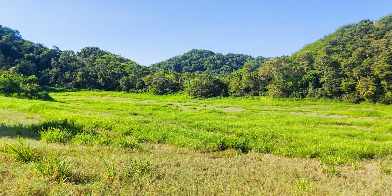Hacienda Esel in Manzanillo, Puntarenas — photo