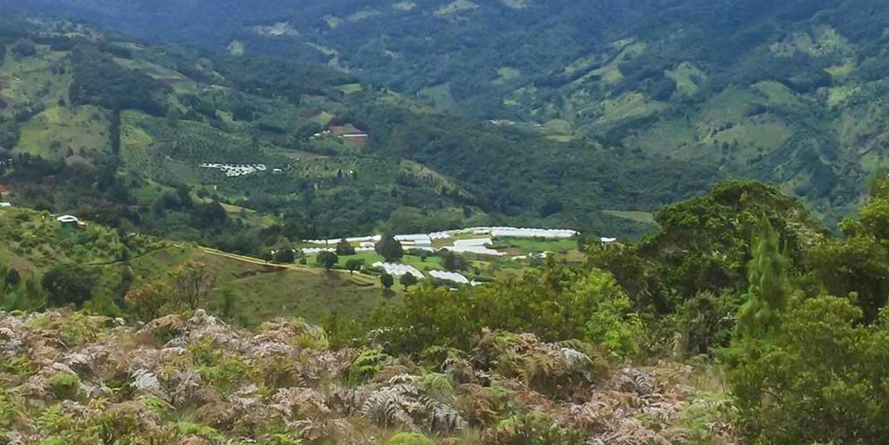 Finca Cumbres de Copey, Dota — photo