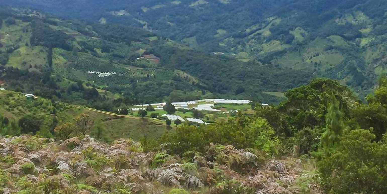 Finca Cumbres de Copey
