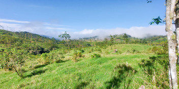 Finca Agroindustrial in Naranjo