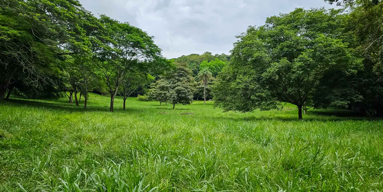 Propiedad en Bagaces