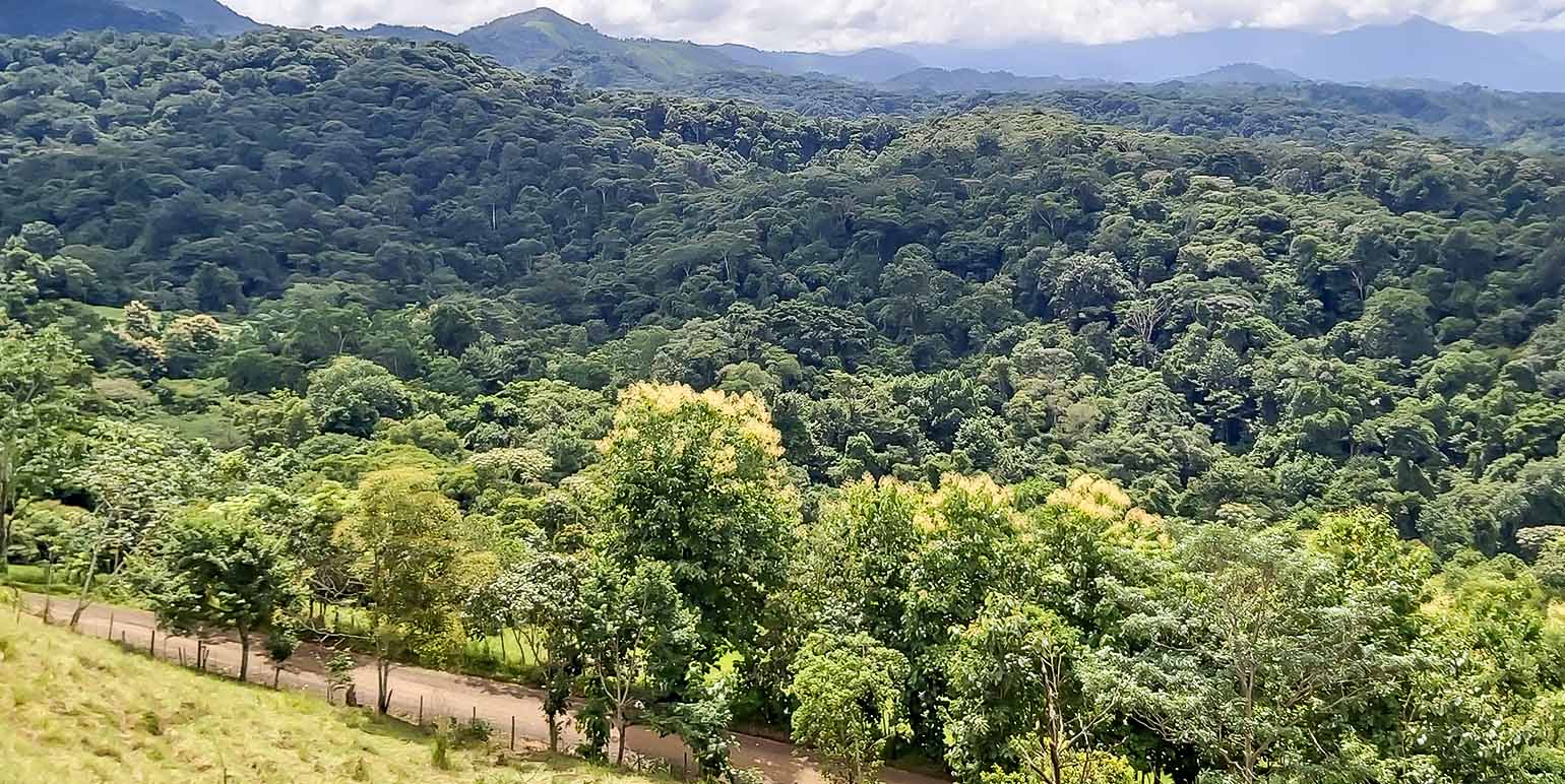 Property at Barbacoas
