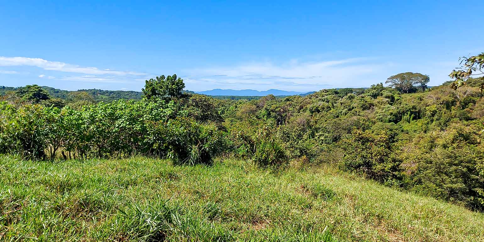 Property at La Ceiba