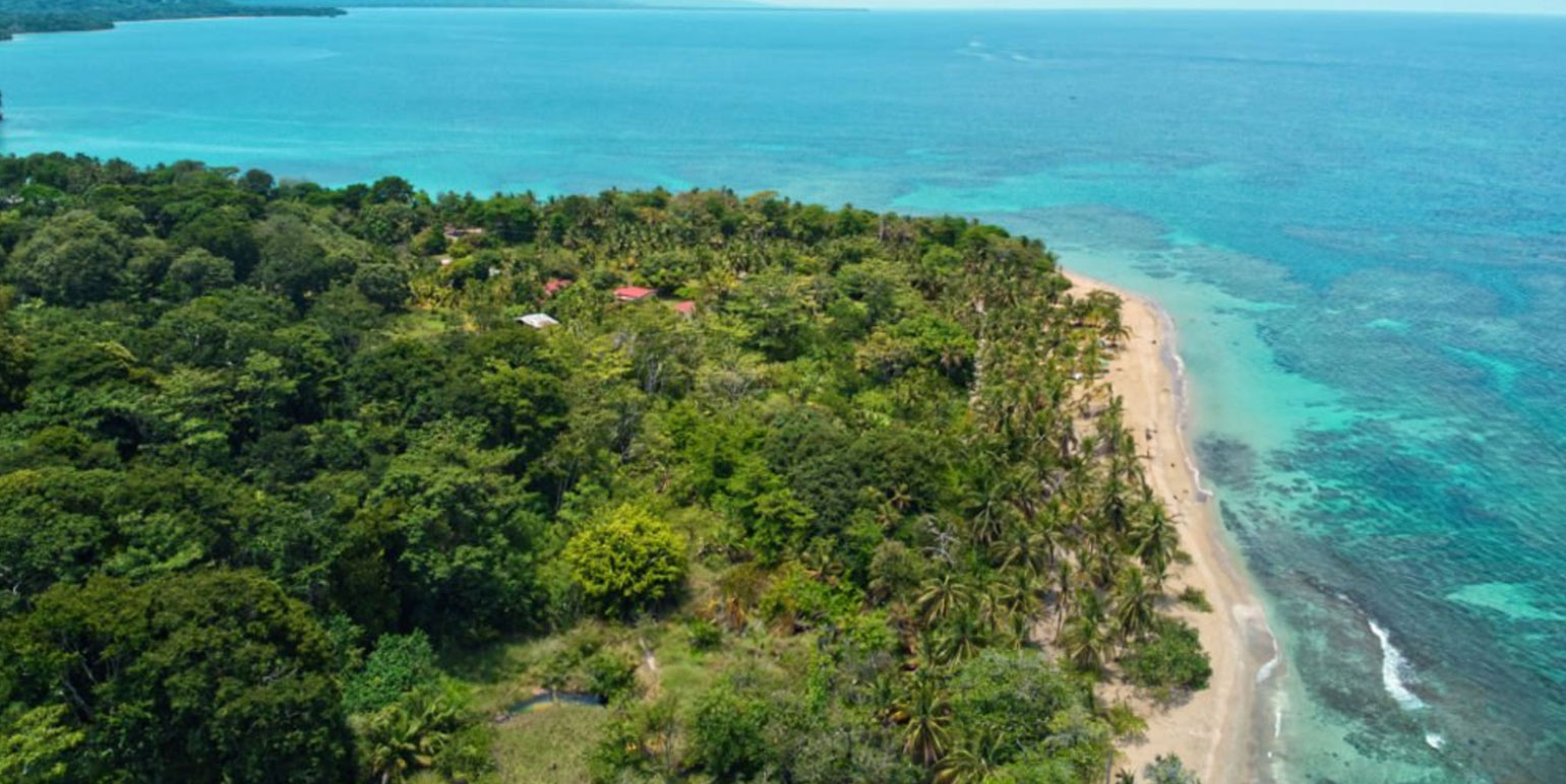 Punta Uva, Limón