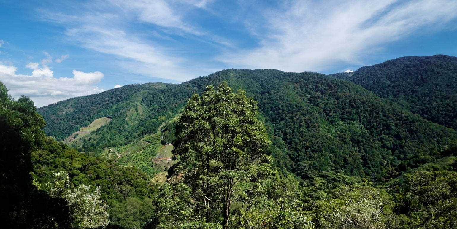 Dota, Costa Rica