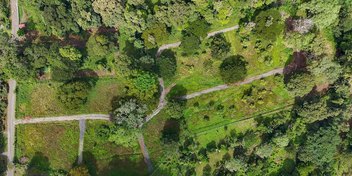Carbone One Creekside Lots in Hone Creek