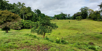 Los Altos Farm in San Miguel de Batán