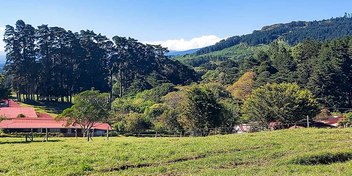 Finca Los Sauces in San José de la Montaña