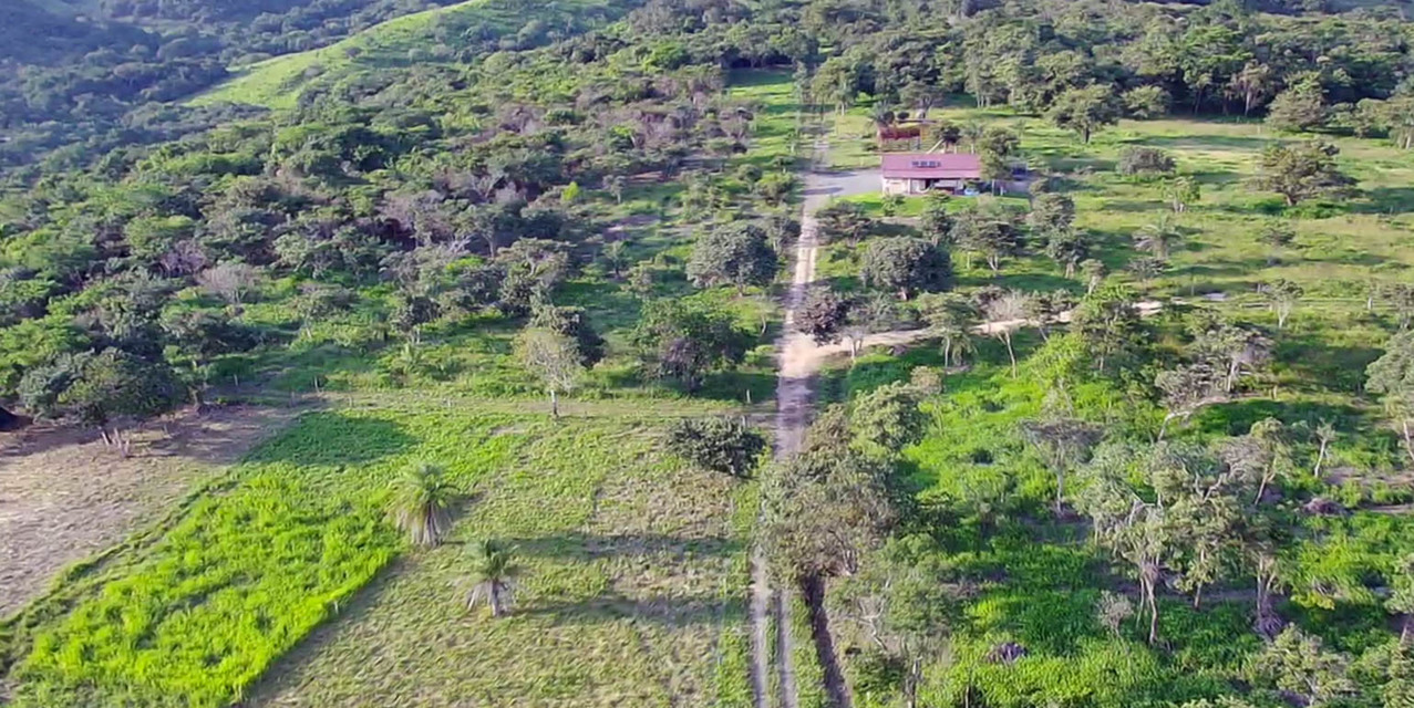 Finca Guayabo Eco-Agro Green in Bagaces — photo