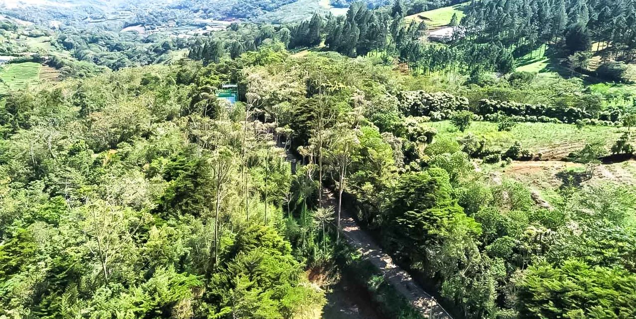 Finca de Ecoturismo en San Ramón — photo