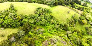 Finca Los Santos de Copey at Dota