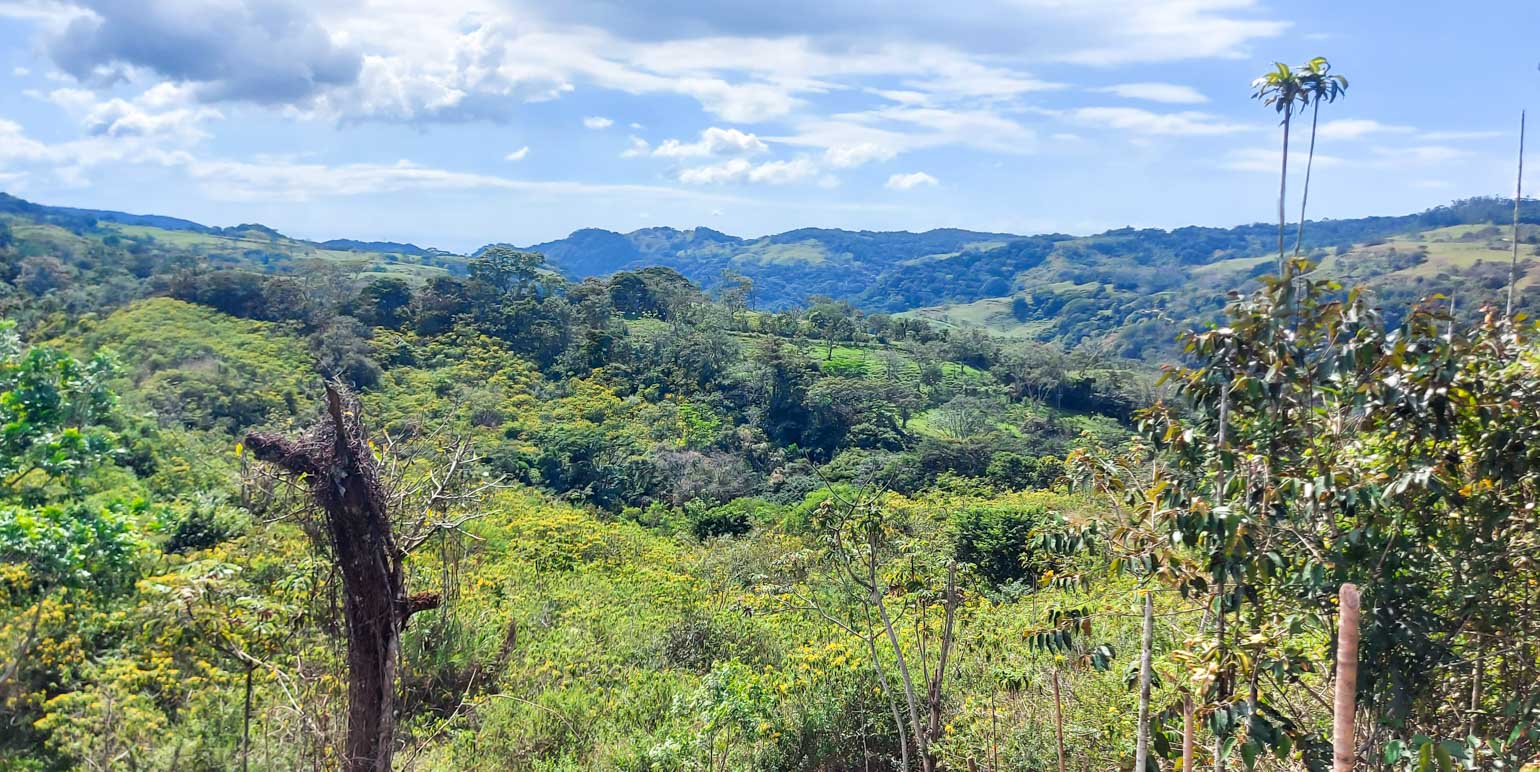 Finca Galeria Verde at San Ramón, Alajuela